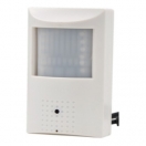 PIR Hidden IP Camera